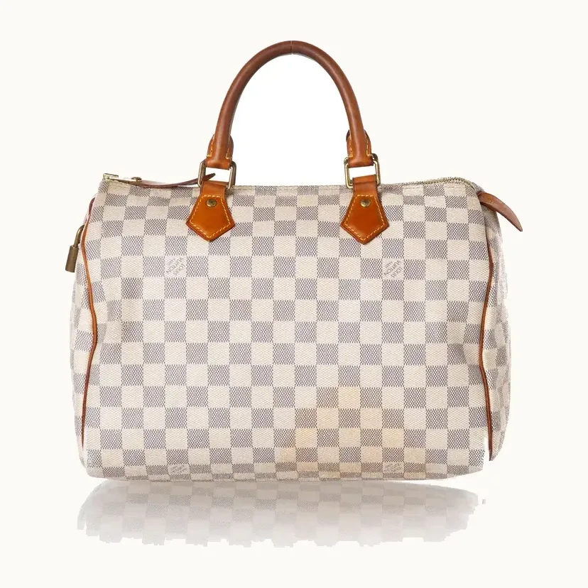 Bolso Louis Vuitton Speedy