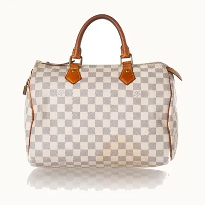 Bolso Louis Vuitton Speedy