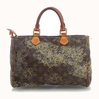 Bolso Louis Vuitton Speedy