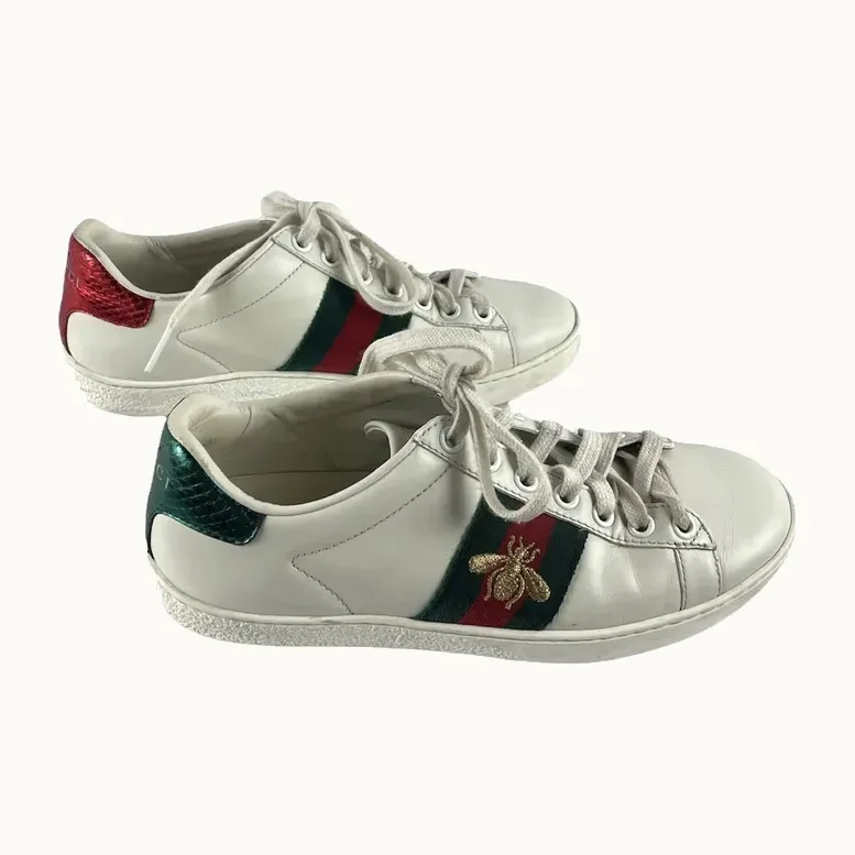 Tenis Gucci Ace