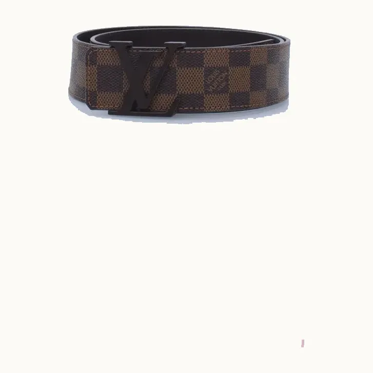 Louis Vuitton Initiales Damier Ebene