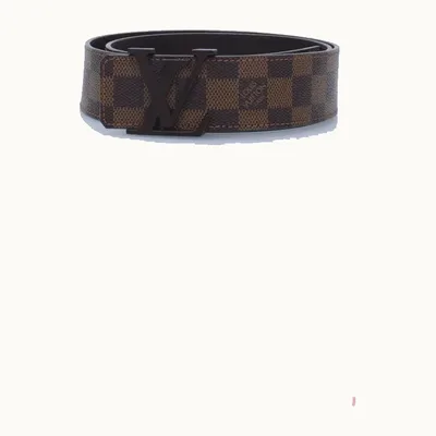 Louis Vuitton Initiales Damier Ebene