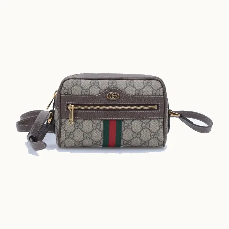 Gucci Ophidia mini