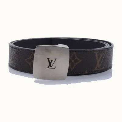 Louis Vuitton Buckle Monogram
