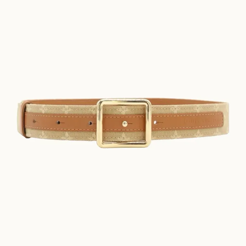 Faja Louis Vuitton Mini Lin