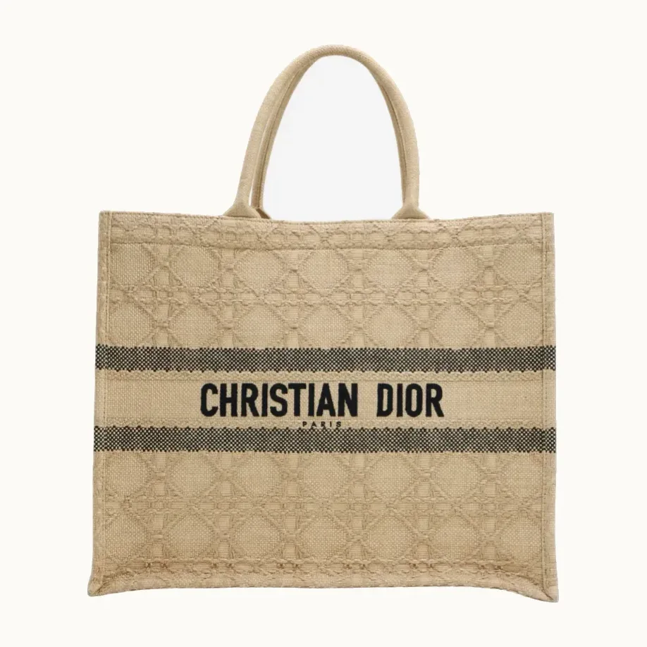 Bolso Tote Dior Book 2022