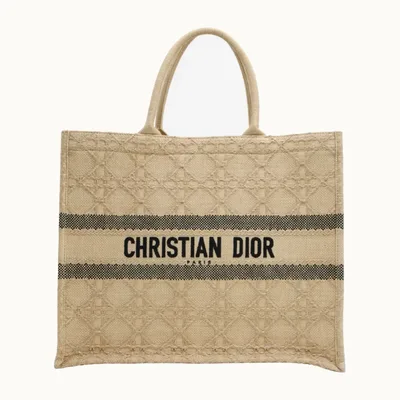 Bolso Tote Dior Book 2022