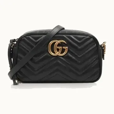 Gucci Camera Bag