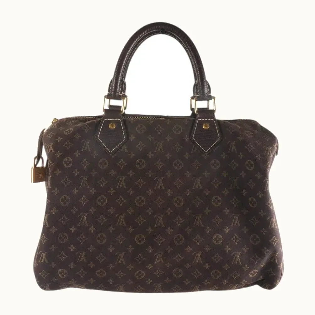 Bolso Louis Vuitton Speedy 30 Mini Lin