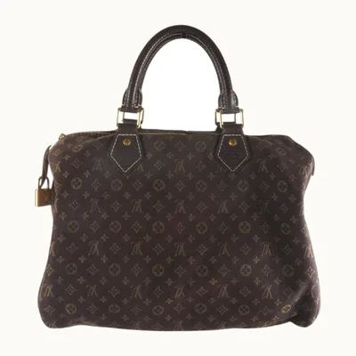 Bolso Louis Vuitton Speedy 30 Mini Lin