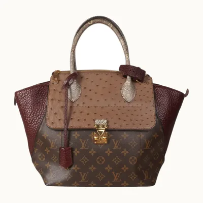 Bolso Louis Vuitton Majestueux