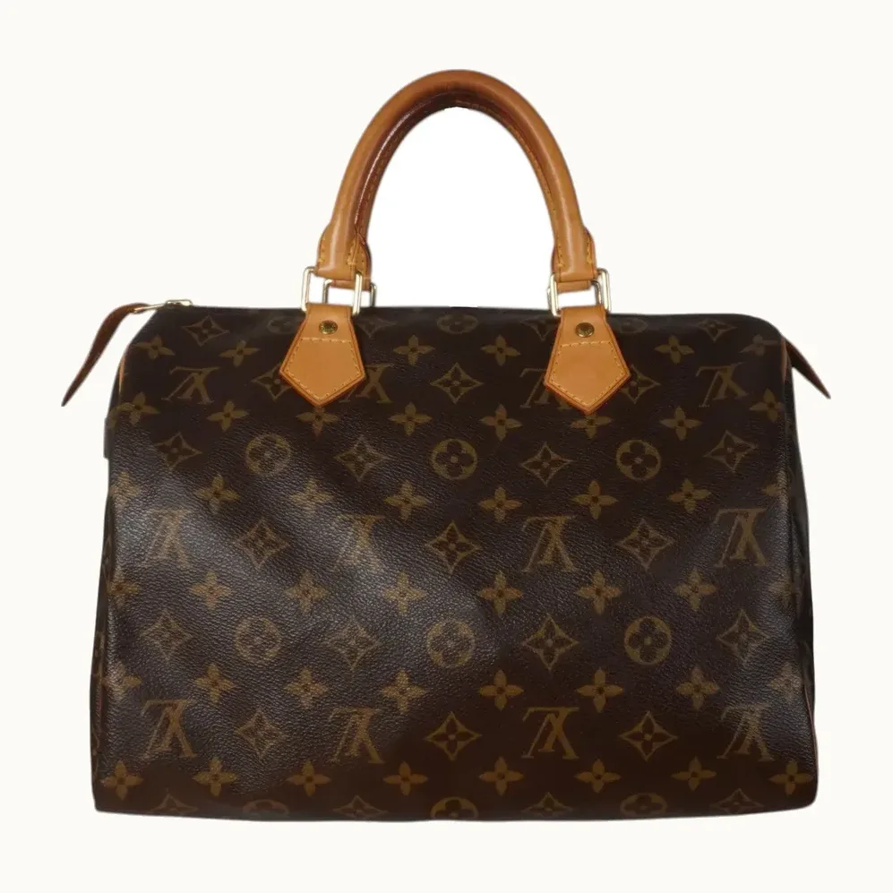 Bolso Louis Vuitton Speedy 30