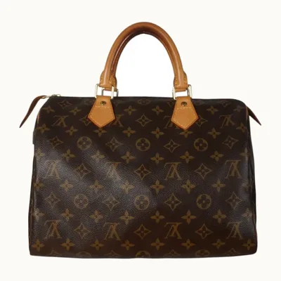 Bolso Louis Vuitton Speedy 30