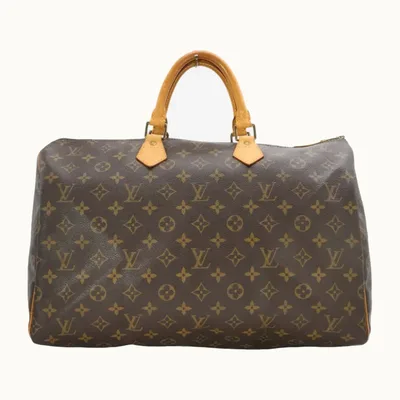 Bolso Louis Vuitton Speedy 40 2009