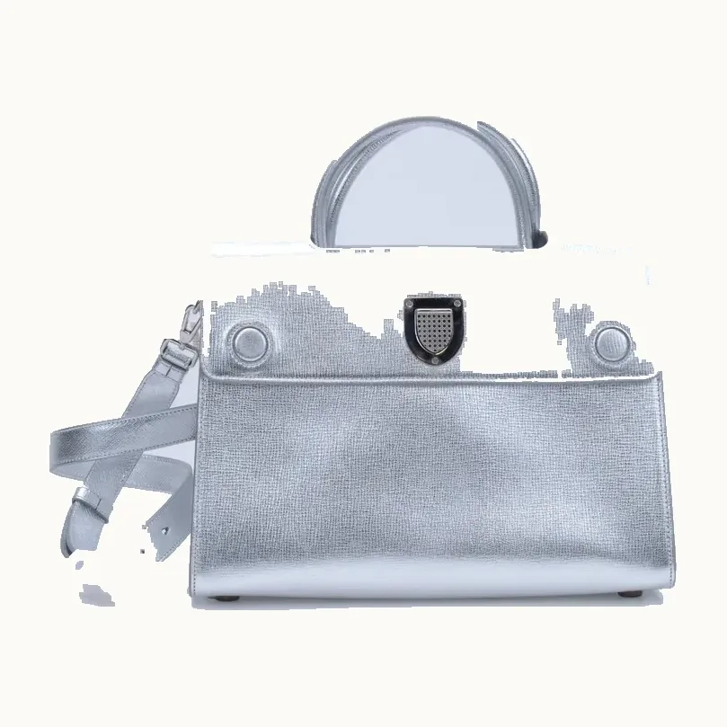 Dior Diorever Medium Handbag Silver