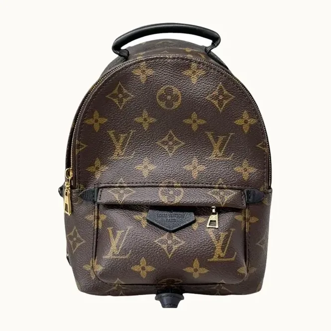 Mochila Louis Vuitton Mini Palm Springs