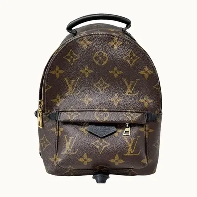 Mochila Louis Vuitton Mini Palm Springs