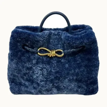 Bolso Bottega Veneta Andiamo Small