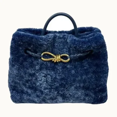 Bolso Bottega Veneta Andiamo Small