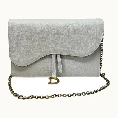Dior WOC Saddle Bag