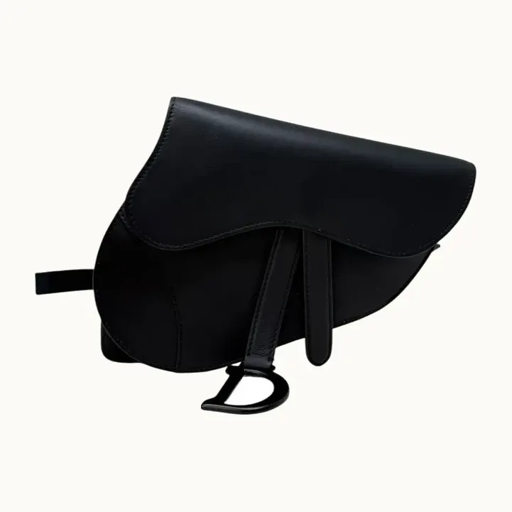 Dior Saddle Beltbag