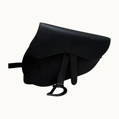Dior Saddle Beltbag