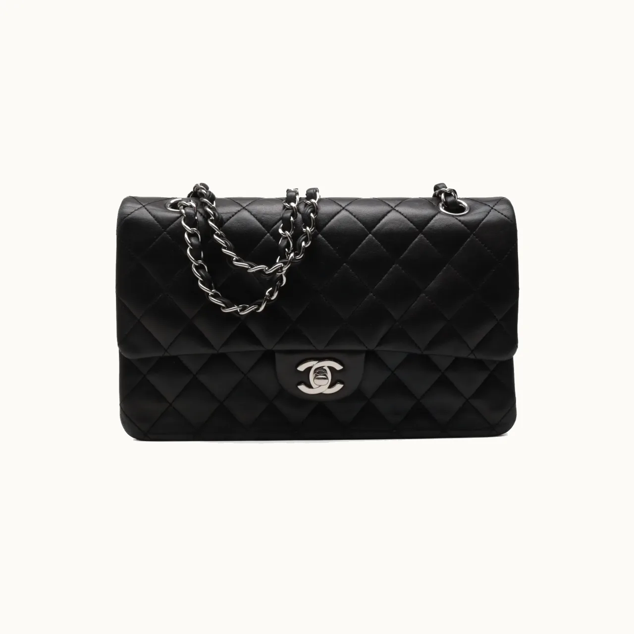 Chanel Chanel Double Flap Small