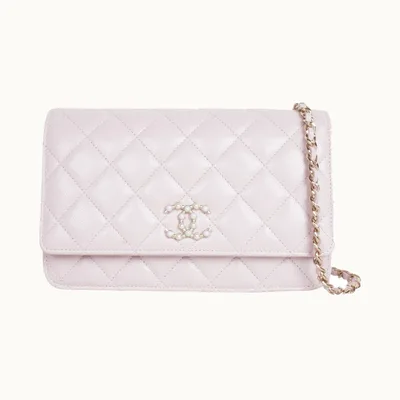 Chanel Wallet on Chain